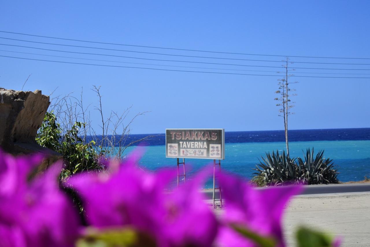 Kissonerga Beach Apartment Paphos Exterior photo